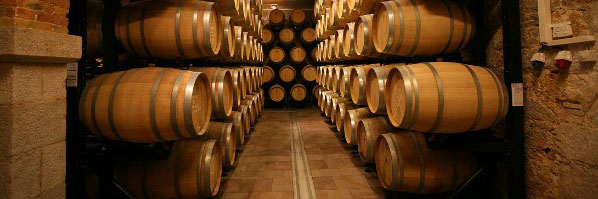 The Stina Winery Cellar